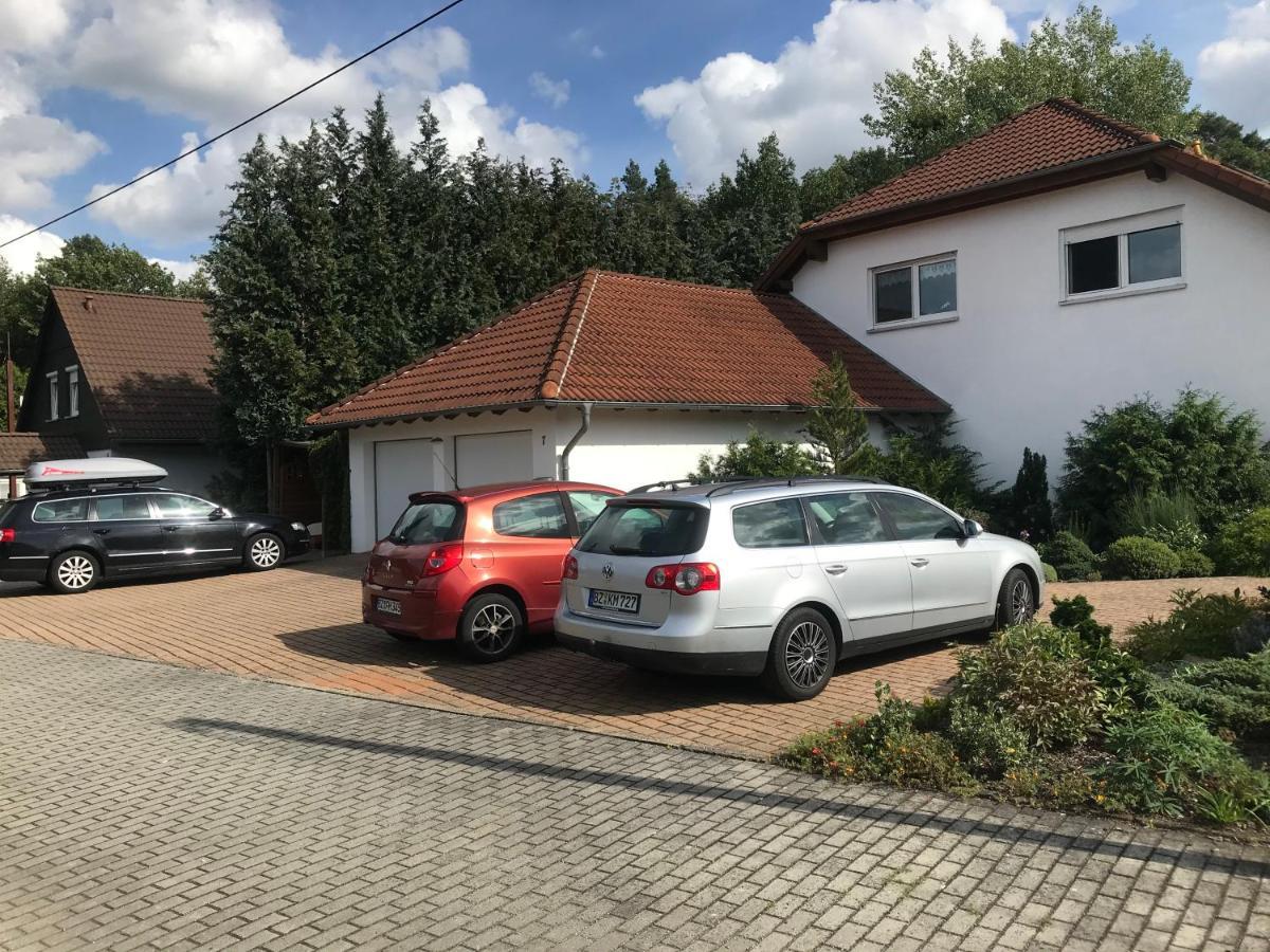 Grosszuegige Ferienwohnung Am Waldesrand Im Seenland Lauta Exterior photo